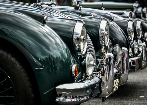 Classic Jaguars on parade