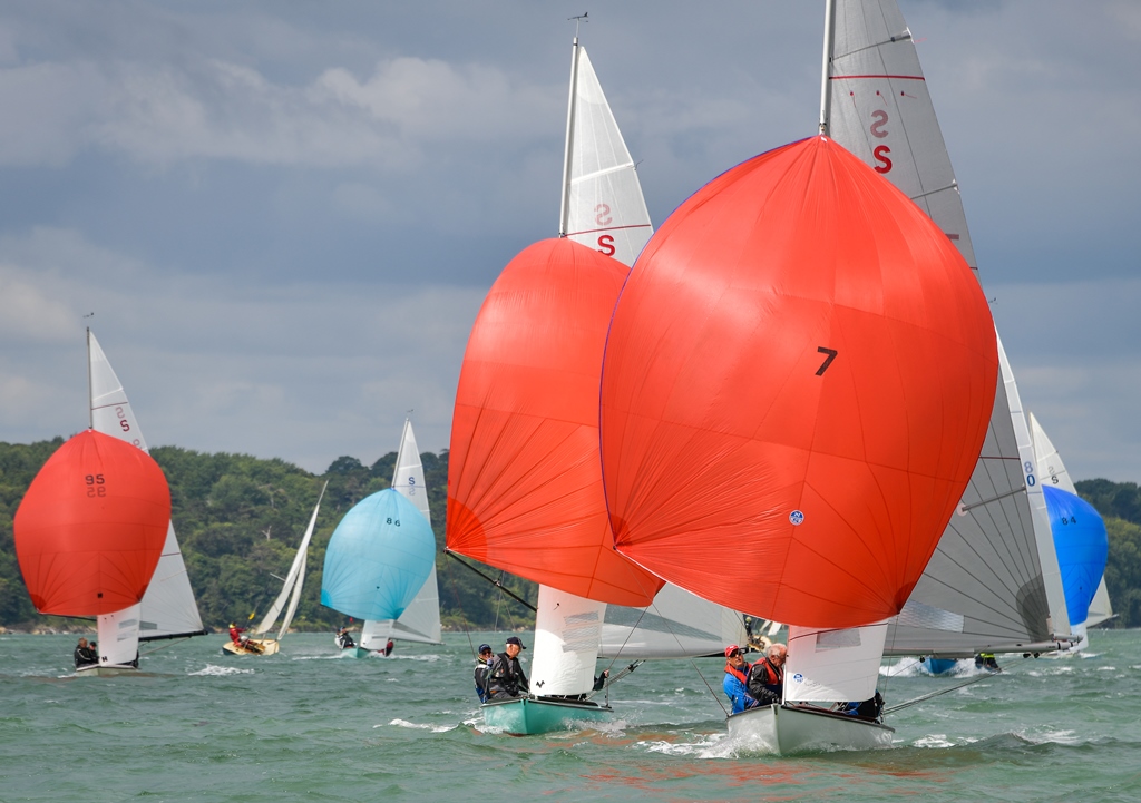 Swallows competing at the 2019 regatta